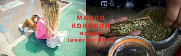 гидра Бородино